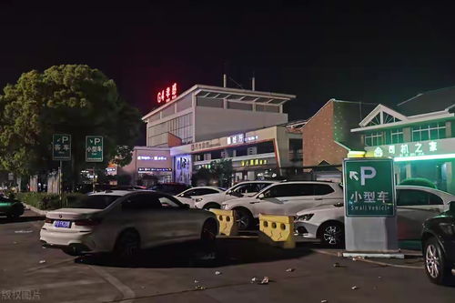 高速服務區停車防陷阱指南 這些細節能讓你遠離麻煩